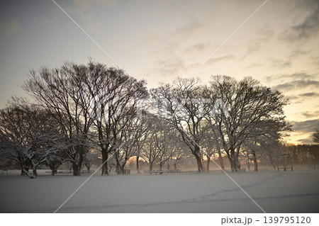 雪景色の朝の花島公園 雪景色の朝の花島公園 139795120