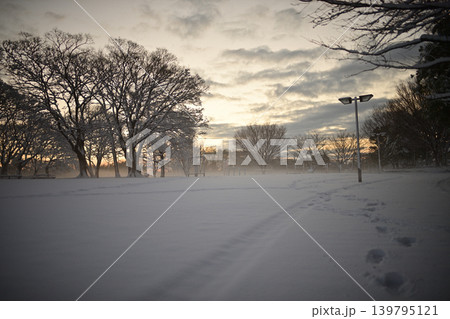 雪景色の朝の花島公園 雪景色の朝の花島公園 139795121