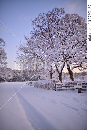 雪景色の朝の花島公園 雪景色の朝の花島公園 139795127
