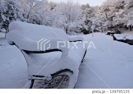 雪景色の朝の花島公園 139795135