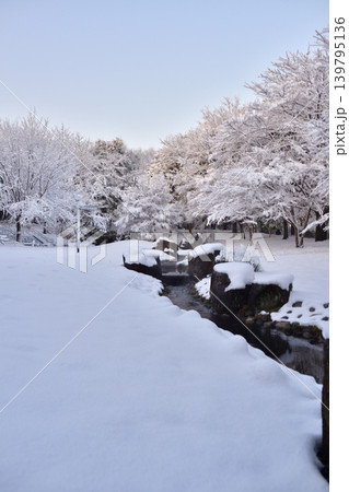 雪景色の朝の花島公園 139795136