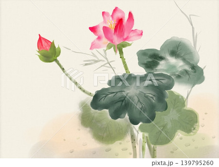 Delicate pink lotus flower blooms alongside a bud, with large, dark green leaves. Delicate pink lotus flower blooms alongside a bud, with large, dark green leaves. 139795260