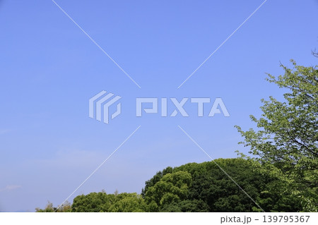 青空と木の爽やかな背景 青空と木の爽やかな背景 139795367
