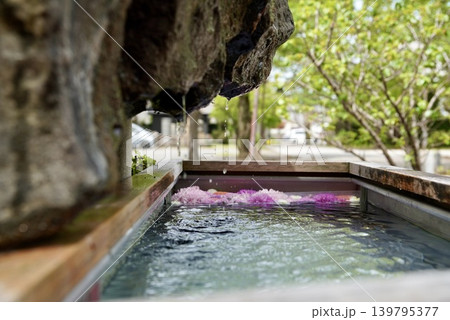 日本の美しい花手風景 日本の美しい花手風景 139795377