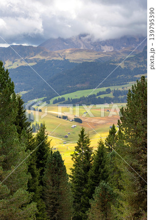 Seiser Alm alpine meadows, Dolomites, Italy 139795390