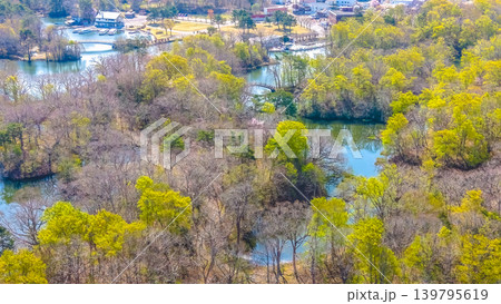April 26 2026 Onumakoen Wetland Forest And Water Channels Aerial 139795619