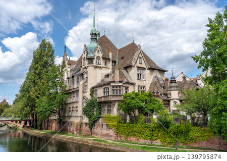 Historic building with ornate gate in Strasbourg 139795874