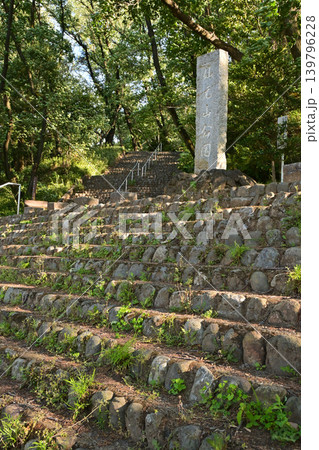 仙元山公園(深谷ビッグタートル) 仙元山公園(深谷ビッグタートル) 139796228