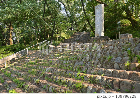 仙元山公園(深谷ビッグタートル) 仙元山公園(深谷ビッグタートル) 139796229