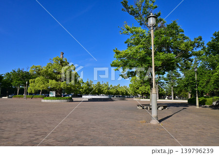 仙元山公園(深谷ビッグタートル) 仙元山公園(深谷ビッグタートル) 139796239