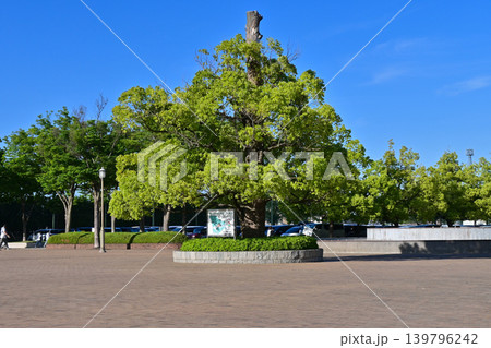 仙元山公園（深谷ビッグタートル） 139796242