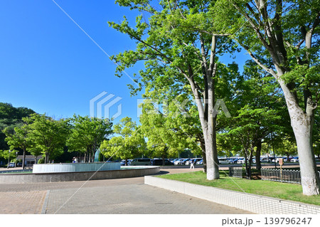 仙元山公園(深谷ビッグタートル) 仙元山公園(深谷ビッグタートル) 139796247