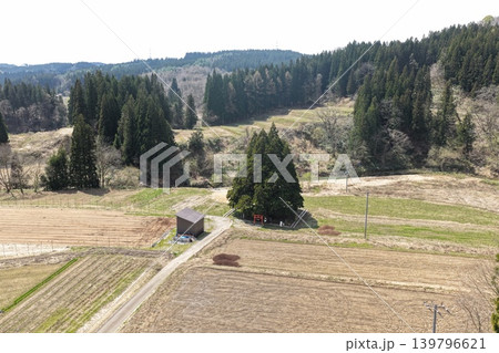 トトロの木鮭川村 田園風景に佇む鎮守の杜と鳥居を俯瞰した空撮写真 トトロの木鮭川村 田園風景に佇む鎮守の杜と鳥居を俯瞰した空撮写真 139796621