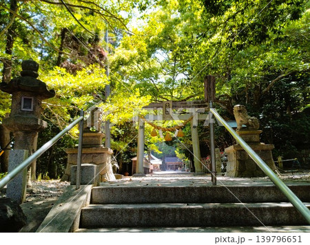 初夏の尾張多賀神社 パワースポット 初夏の尾張多賀神社 パワースポット 139796651
