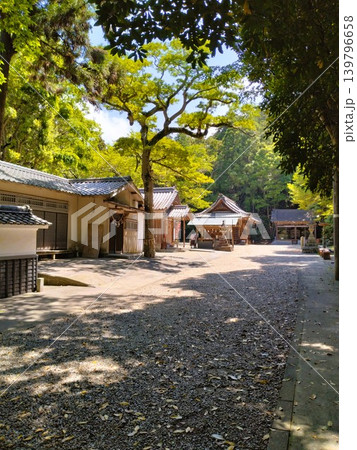 初夏の尾張多賀神社　パワースポット 139796658