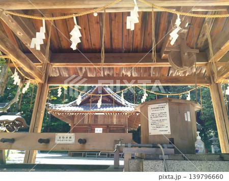 初夏の尾張多賀神社 パワースポット 初夏の尾張多賀神社 パワースポット 139796660