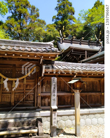 初夏の尾張多賀神社 パワースポット 初夏の尾張多賀神社 パワースポット 139796667