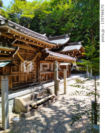 初夏の尾張多賀神社 パワースポット 初夏の尾張多賀神社 パワースポット 139796670