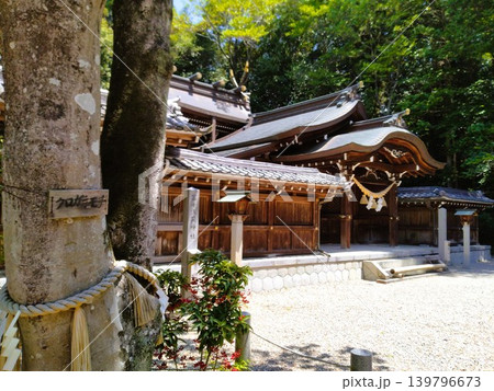 初夏の尾張多賀神社 パワースポット 初夏の尾張多賀神社 パワースポット 139796673