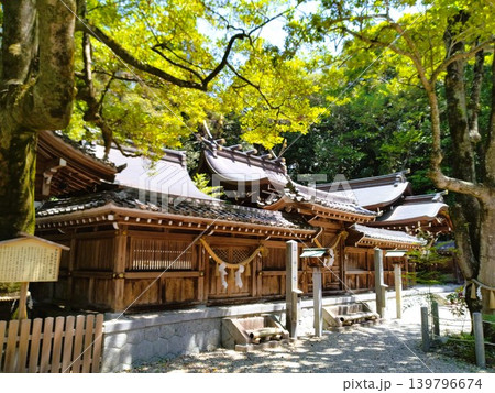 初夏の尾張多賀神社 パワースポット 初夏の尾張多賀神社 パワースポット 139796674