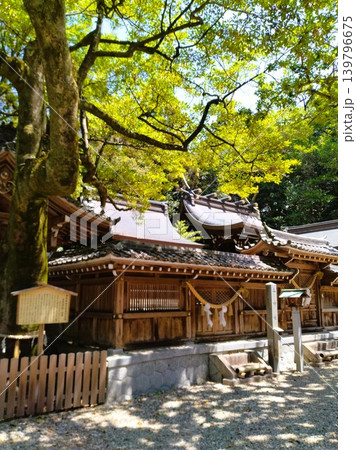 初夏の尾張多賀神社 パワースポット 初夏の尾張多賀神社 パワースポット 139796675