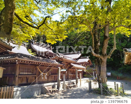 初夏の尾張多賀神社 パワースポット 初夏の尾張多賀神社 パワースポット 139796676