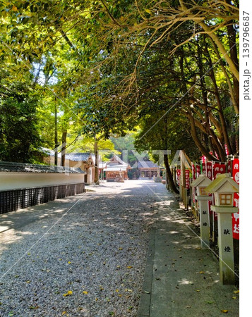 初夏の尾張多賀神社 パワースポット 初夏の尾張多賀神社 パワースポット 139796687