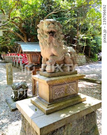 初夏の尾張多賀神社 パワースポット 初夏の尾張多賀神社 パワースポット 139796692