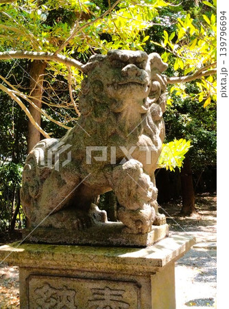 初夏の尾張多賀神社 パワースポット 初夏の尾張多賀神社 パワースポット 139796694