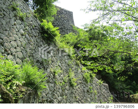 大分県竹田市、瀧廉太郎の荒城の月で知られる、日本百名城の一つ、国指定史跡「岡城跡」の石垣 139796806