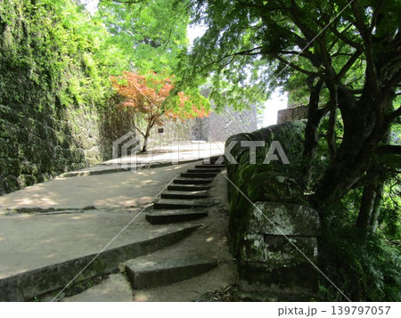 大分県竹田市、瀧廉太郎の荒城の月で知られる、日本百名城の一つ、国指定史跡「岡城跡」の石垣と城道と 大分県竹田市、瀧廉太郎の荒城の月で知られる、日本百名城の一つ、国指定史跡「岡城跡」の石垣と城道と 139797057