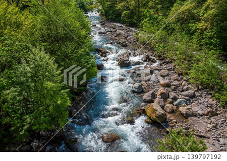 奥飛騨の渓流《岐阜県 高山市》 奥飛騨の渓流《岐阜県 高山市》 139797192
