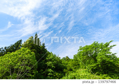 新緑の山並みと青空の風景 新緑の山並みと青空の風景 139797466