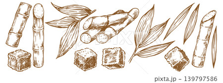 Sugarcane. A set of sketch illustrations. Cane stems and leaves, brown sugar Sugarcane. A set of sketch illustrations. Cane stems and leaves, brown sugar 139797586