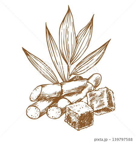 Sugarcane. Sketch illustration. Composition of sugarcane stems and brown sugar. Sugarcane. Sketch illustration. Composition of sugarcane stems and brown sugar. 139797588
