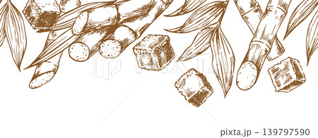Sugarcane. Seamless border in sketch style. Retro frame of sugarcane stems and brown sugar. Sugarcane. Seamless border in sketch style. Retro frame of sugarcane stems and brown sugar. 139797590