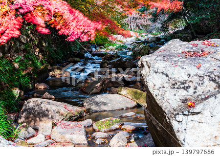 豪渓　晩秋の風景　紅葉と渓流1　岡山県総社市 139797686