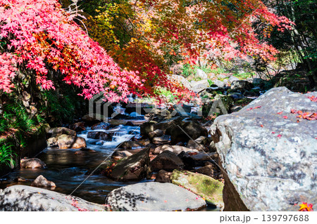 豪渓　晩秋の風景　紅葉と渓流3　岡山県総社市 139797688