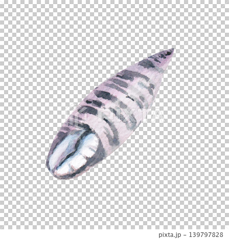 An elongated striped seashell. This isolated watercolor illustration is perfect for designs related to beach holidays, the sea, and natural materials, as well as for textiles, postcards,souvenirs. An elongated striped seashell. This isolated watercolor illustration is perfect for designs related to beach holidays, the sea, and natural materials, as well as for textiles, postcards,souvenirs. 139797828