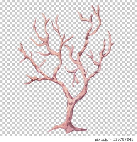 Coral branch. This isolated watercolor illustration is perfect for branding, themed parties, interior design, and advertising of home goods, jewelry, and souvenirs. Coral branch. This isolated watercolor illustration is perfect for branding, themed parties, interior design, and advertising of home goods, jewelry, and souvenirs. 139797843