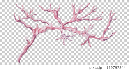 A curved coral branch. This isolated watercolor illustration is perfect for branding, themed parties, interior design, and advertising of home goods, jewelry, and souvenirs. 139797844