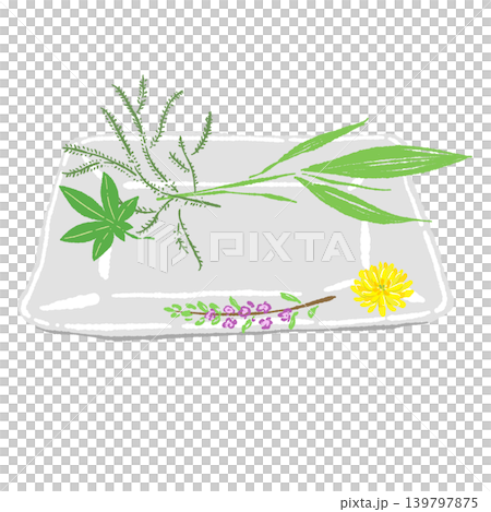 A set of maple leaves and pine needles garnished with a white square plate (finished presentation). A set of maple leaves and pine needles garnished with a white square plate (finished presentation). 139797875
