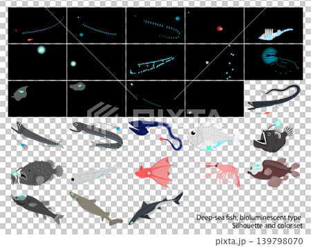 Deep-sea fish bioluminescent type: Black background and colored icon set Deep-sea fish bioluminescent type: Black background and colored icon set 139798070