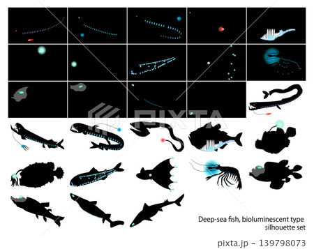 深海魚発光タイプのシルエットセット 深海魚発光タイプのシルエットセット 139798073