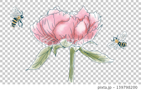 一幅牡丹花和蜜蜂的素描。 139798200