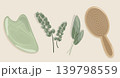 Minimalist Spa Set Vector Top View of Jade Guasha Stone Wooden Massage Brush Sage Herb and Eucalyptus Branches for Eco Wellness Skincare Branding 139798559