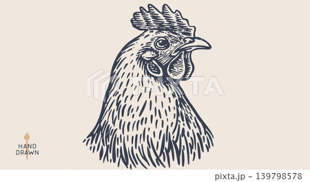Chicken, hen head. Vintage retro print Chicken, hen head. Vintage retro print 139798578