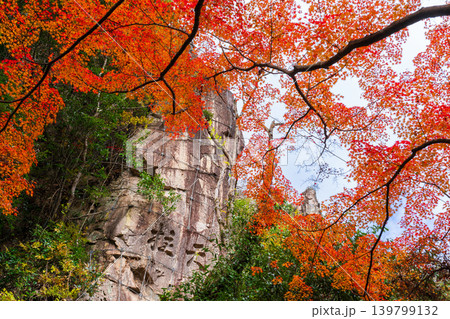 豪渓　紅葉越しの天柱の彫刻2　岡山県総社市 139799132