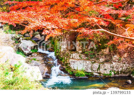 豪渓　晩秋の紅葉と渓流1　岡山県総社市 139799133