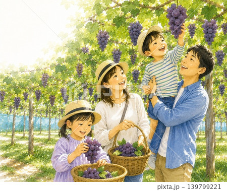 観光農園でぶどう狩りをたのしんでいる家族のイラスト 観光農園でぶどう狩りをたのしんでいる家族のイラスト 139799221